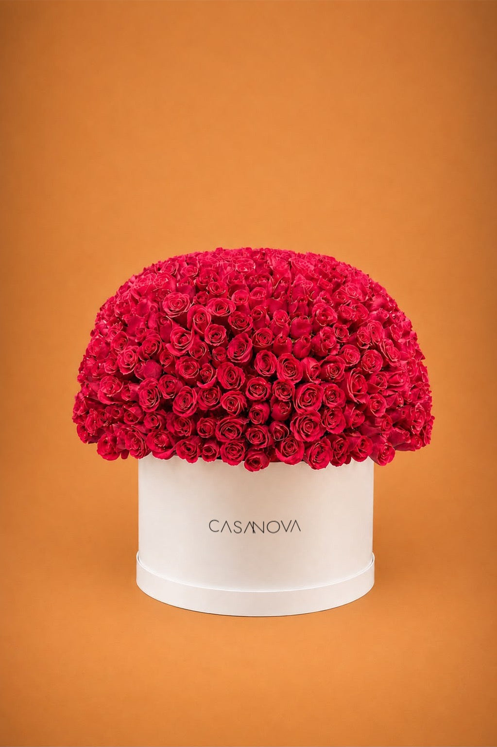 Max base floral rosas