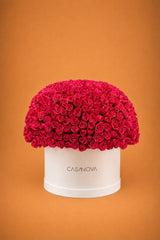 Max base floral rosas