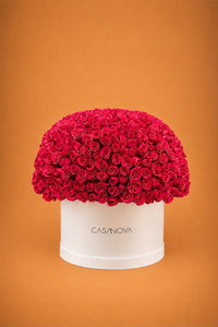 Max base floral rosas
