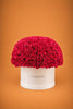 Max base floral rosas