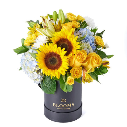 Arreglo Floral de Girasoles en Caja Redonda