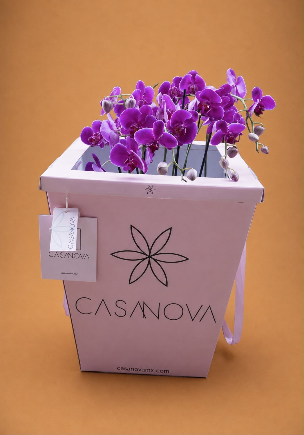 Orquideas fiusha