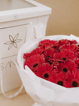 Ramo de Gerberas Rojas