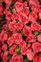 Ramo de Mini Rosas Rosas