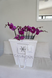 Orquideas Rosas