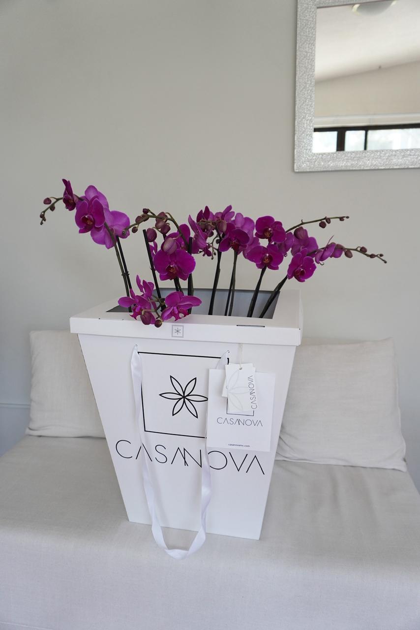Orquideas Rosas