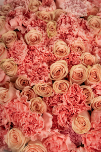 Ramo de Rosas y Claveles Rosas